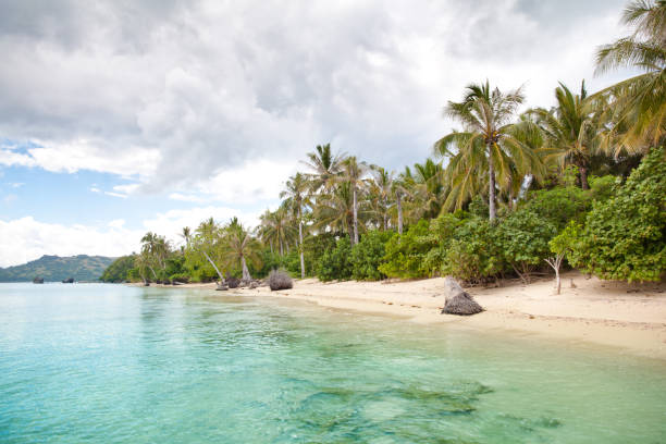 istock White sand beach and palm trees. Caramoan Islands, Philippines 1202216273