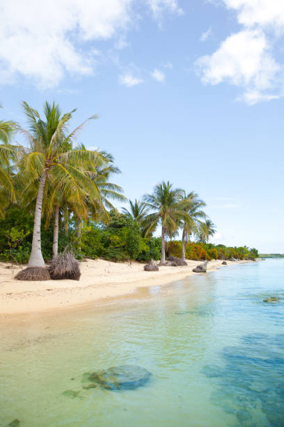 istock White sand beach and palm trees. Caramoan Islands, Philippines 1202216611