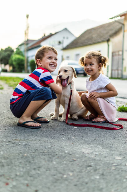 istock We are best friends! 1202217197
