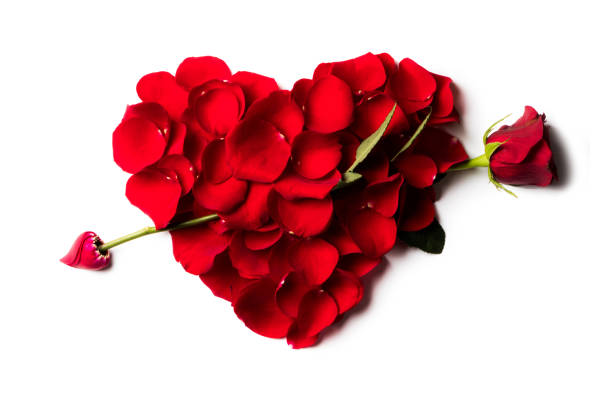 istock Rose petals heart with arrow 1202217229