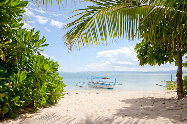 istock White sand beach and tropical trees. Boat for tourists 1202218365