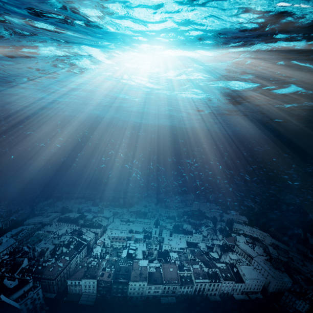 istock Underwater coral reef on the red sea 1202219000