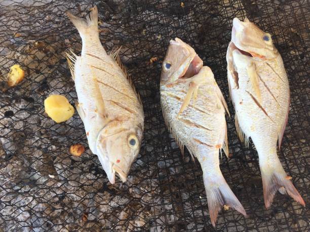 istock Three fishes on a grill 1202219216