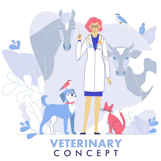 ilustraciones, imágenes clip art, dibujos animados e iconos de stock de concepto veterinario con animales de ganado, mascotas y médico en clínica veterinaria. - dog pets advice women