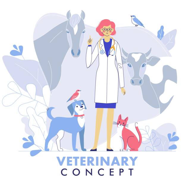 Veterinary concept with livestock animals, pets and doctor in vet clinic. Young veterinarian woman standing together with cat, dog, cow, horse, birds. Healthcare, medicine treatment, prevention and immunize of pets. vet treating horse stock illustrations