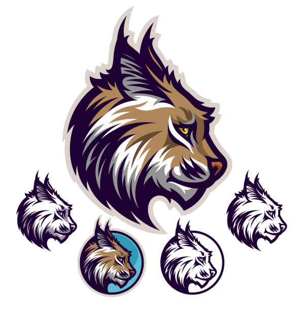 Lynx profile emblem Lynx or bobcat head vector emblem with four variations. wildcat animal stock illustrations