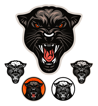 Angry panther head vector emblem with four variations.