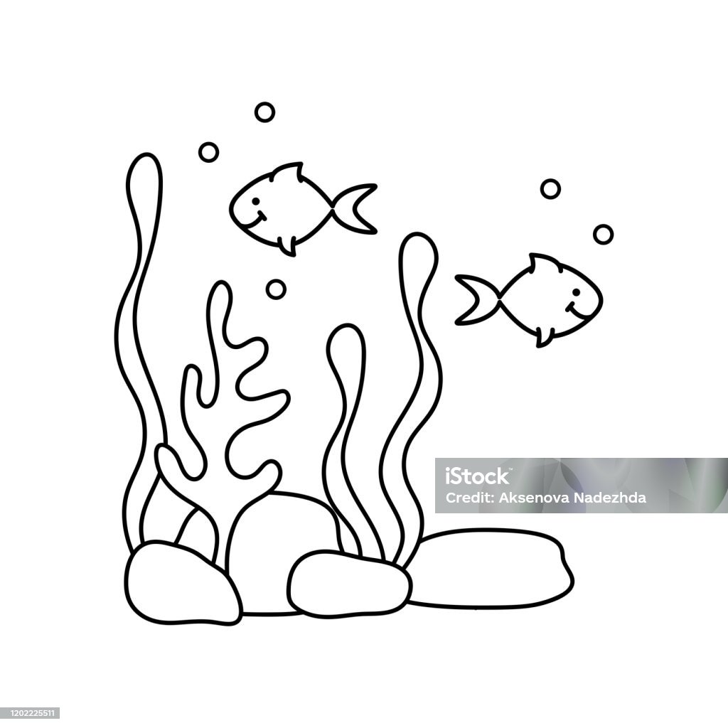 Ilustración de Dos Peces Algas Y Rocas Criaturas Marinas Personajes Lindos  Libro Para Colorear Dibujado A Mano Para Niños Fondo Blanco Y Negro y más  Vectores Libres de Derechos de Acuario -