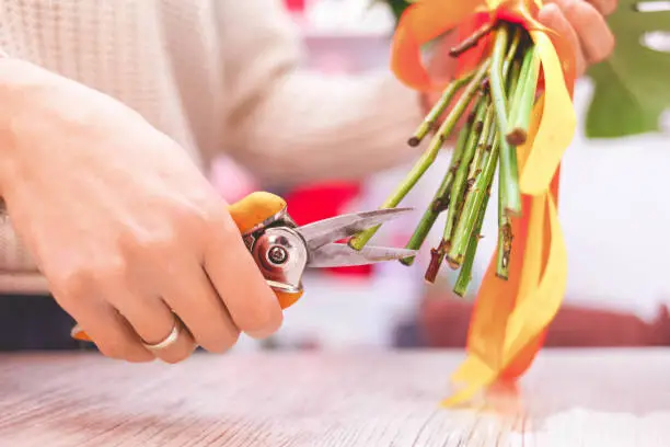 Female florist pruning rose stem at table with secateurs