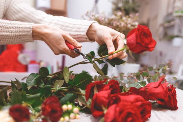 blumenladen verkäufer bereitet rosen, um einen blumenstrauß zu schaffen, indem sie sie beschnitt - fresh cut flowers stock-fotos und bilder