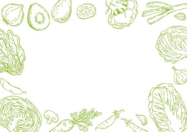 ilustrações de stock, clip art, desenhos animados e ícones de hand drawn vegetables frame illustration. - white background freshness spinach vegetable