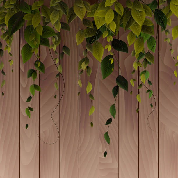 podstawowe rgb - ivy backgrounds wood fence stock illustrations