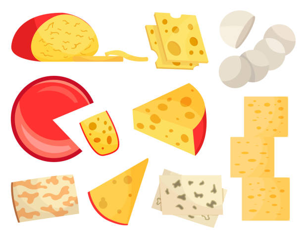 Various types of cheese. Modern flat style realistic vector illustration icons, isolated on white background Various types of cheese. Modern flat style realistic vector illustration icons, isolated on white background. swiss cheese slice stock illustrations