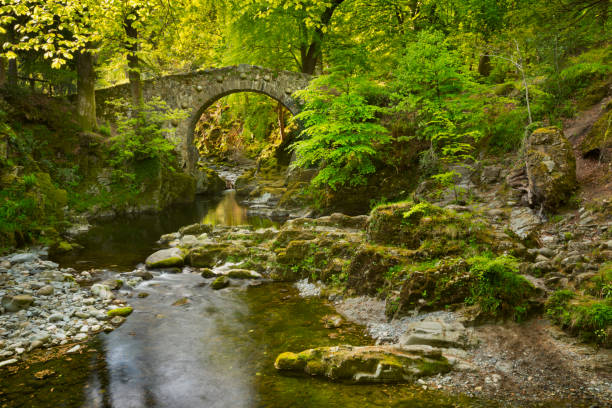 istock Stone bridge over a river in Northern Ireland 1202232392