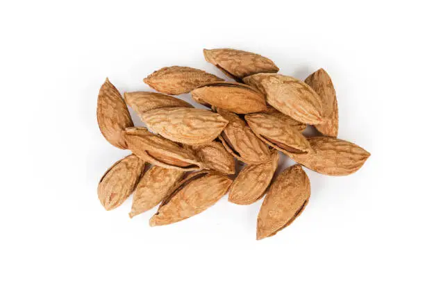 Small pile of the dried almonds in their shells on a white background, top view