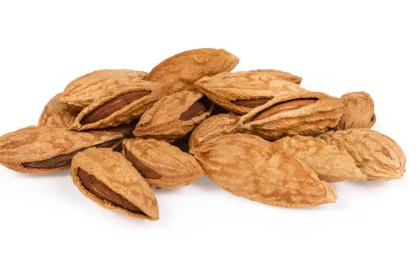 Small pile of the dried mountain almonds in their shells on a white background close-up