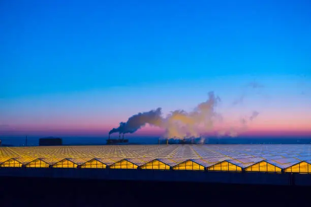 Photo of Large commercial greenhouse glass rooftop