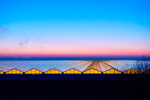 Large commercial greenhouse glass rooftop