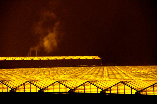 istock Large commercial greenhouse glass rooftop 1202238202