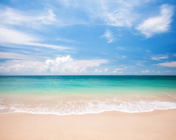 istock beautiful beach and tropical sea 1202238593
