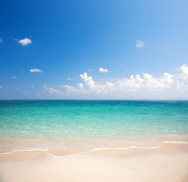 istock beautiful beach and tropical sea 1202239858