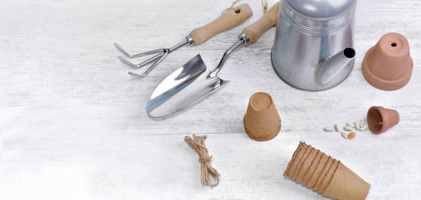 istock arrangement of gardening tools and peat pots  on a white table 1202243006