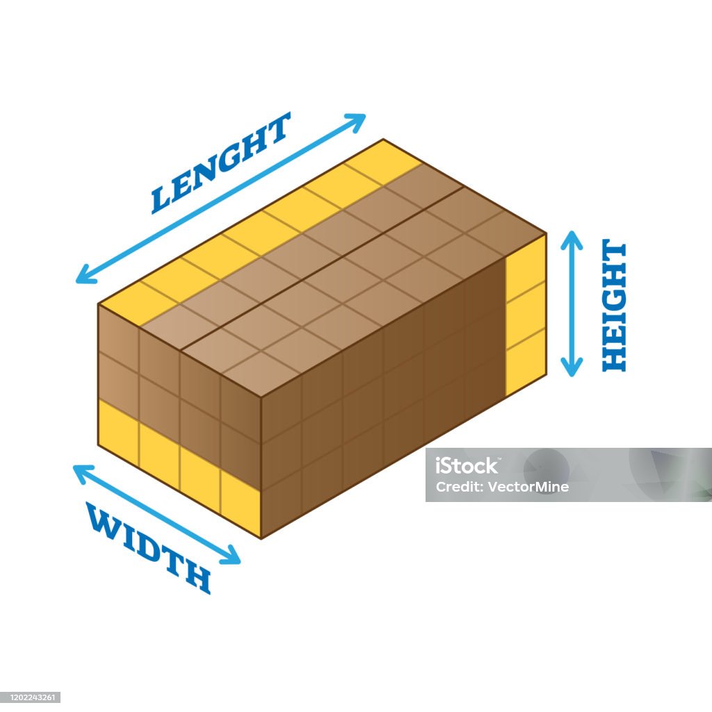 Length Width Height Measurement Example Scheme Vector Illustration ...