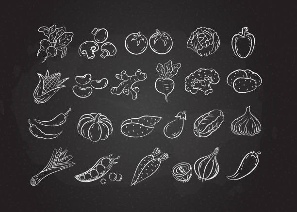 ilustrações, clipart, desenhos animados e ícones de conjunto de ícones vegetais de esboço de linha branca de giz - chalk drawing