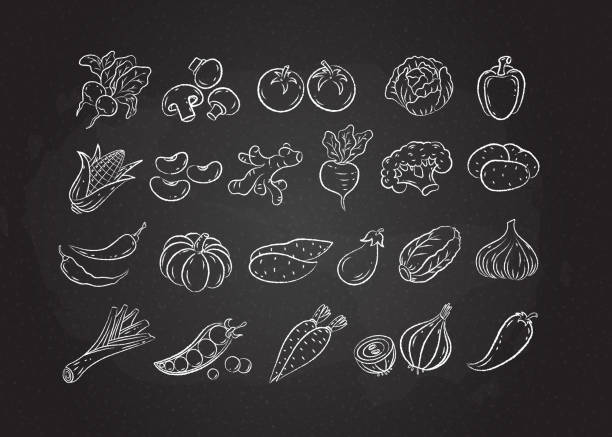 Chalked white line sketch vegetable icon set Chalked sketch vegetable icon set vector illustration. White chalk style line hand drawn vegetables, tomato and onion, garlic and mushroom sketch icon on blackboard for restaurant menu promo design vegetable stock illustrations