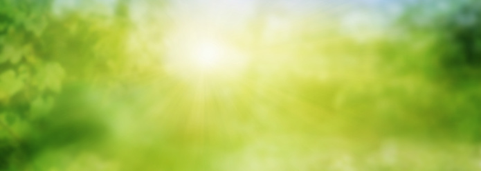 Abstract green sunny spring landscape. Clean nature background for environment and ecology with space for design and text.