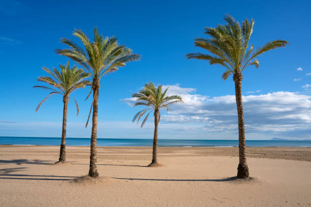 istock Cullera Raco beach in Mediterranean Valencia Spain 1202248829