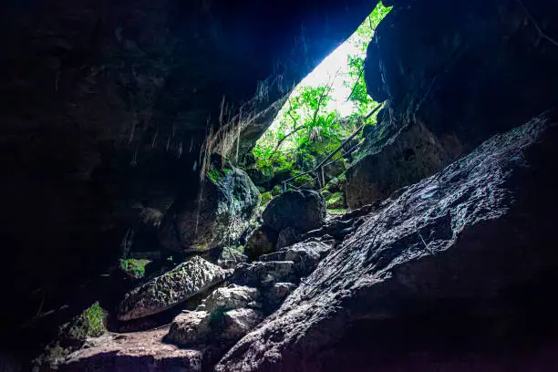 Cotubanama National Park in Dominican Republic, Padre Nuestro Section with typical vegetation inside and quarries such as the Cueva de Padre Nuestro and Cueva del Chico