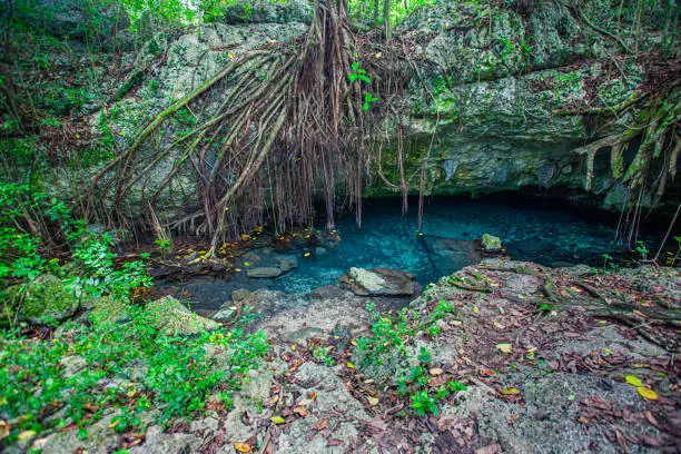Cotubanama National Park in Dominican Republic, Padre Nuestro Section with typical vegetation inside and quarries such as the Cueva de Padre Nuestro and Cueva del Chico