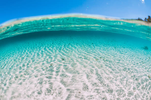 istock Tropical turquoise ocean water with sandy bottom underwater 1202268410