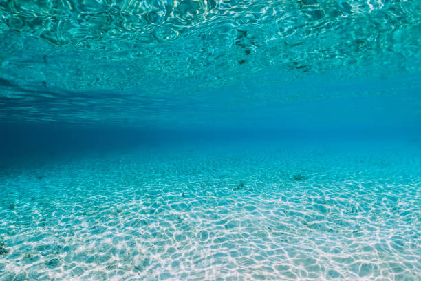 istock Tropical turquoise ocean water with sandy bottom underwater 1202268454