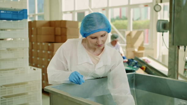 istock Candy factory. Factory worker checking packing machine 1202269250