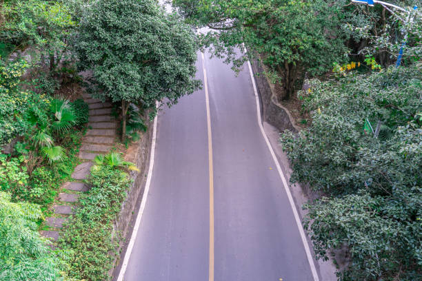 istock A highway in the forest 1202269318