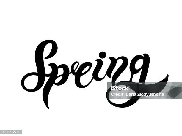 Springboard Lettering Spring Hand Drawn Lettering Stock Illustration - Download Image Now ...