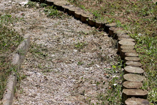 istock Overgrown gravel path filled with dry grass surrounded with stone curb on one side and tree stumps on other 1202275099