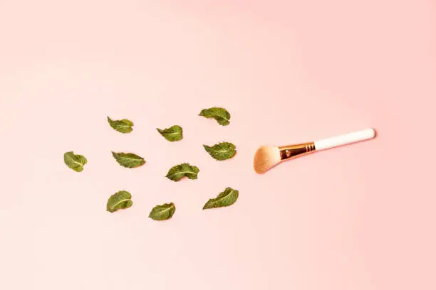 Photo of Powder brush and mint leaves on a pink background