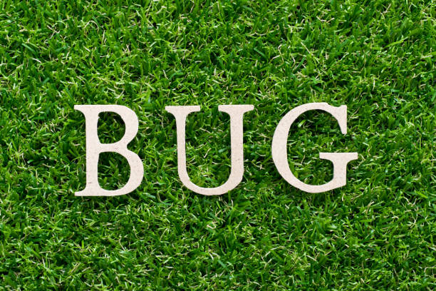 istock Wood alphabet in word bug on artificial green grass background 1202279159