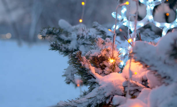 istock Sparklers burning on a Christmas tree in a park 1202280897