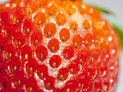 Close up fresh ripe strawberry fruits . Healthy strawberry background and Copy space