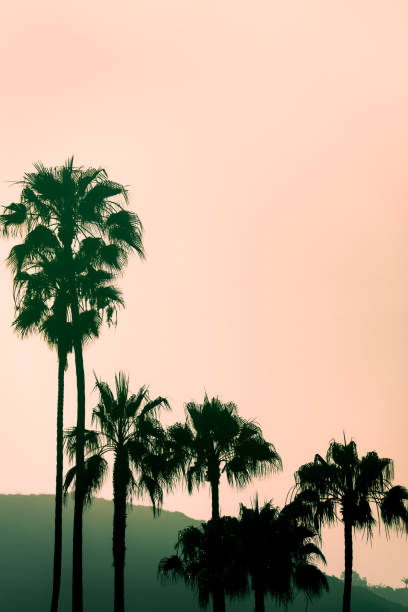Retro Style Tropical Vacation Hills and Palm Trees Background With Copy Space