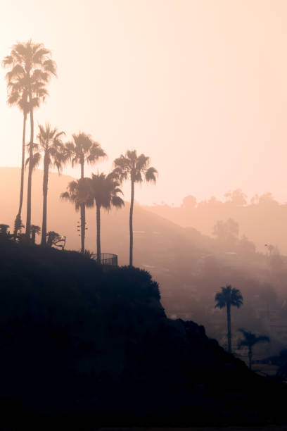 Pink Sunrise  Over  Hills on the Coast of Southern California Background Image of Sunrise on the Pacific Coast With Palm Tree Covered Hills and Copy Space laguna beach california photos stock pictures, royalty-free photos & images