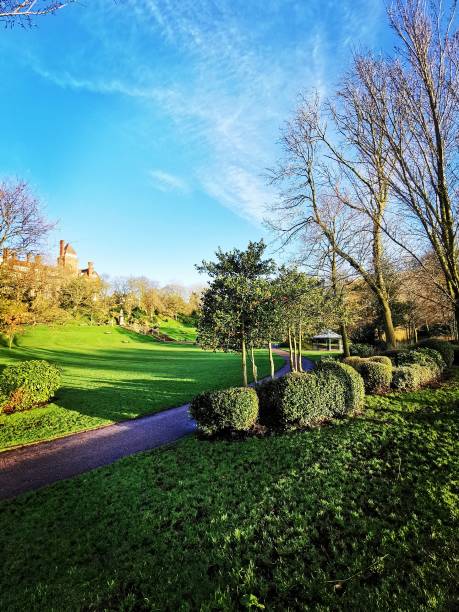 istock Blues skies over the park 1202284890