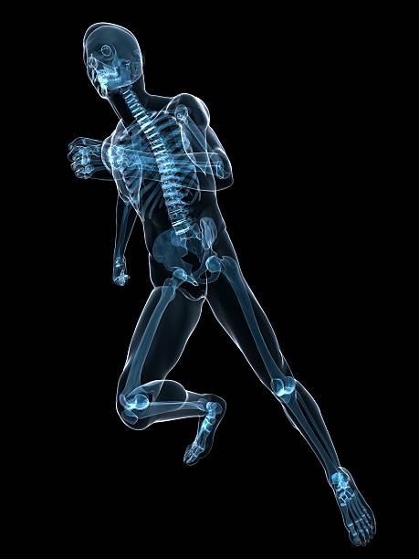 jogger x-ray - x ray human knee orthopedic equipment human bone photos et images de collection