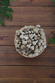 es-ist-ein-japanischer-essbarer-pilz.jpg