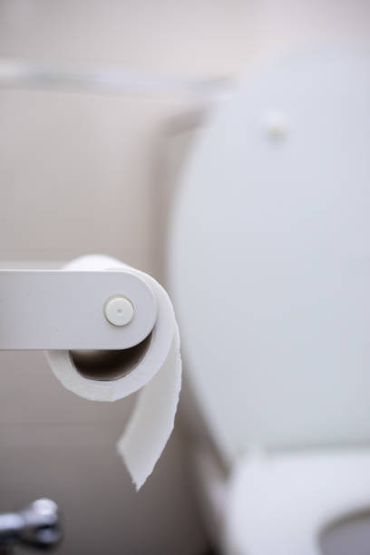 istock Toilet paper hanging in the bathroom 1202290177