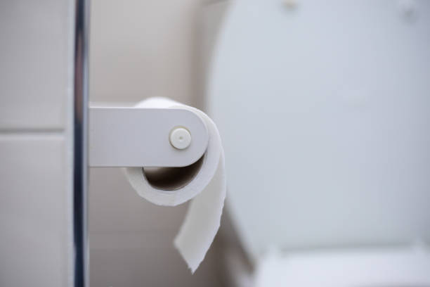 istock Toilet paper hanging in the bathroom 1202292054